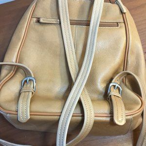 Tignanello Leather Backpack or purse